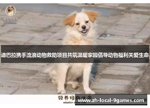 迪巴拉携手流浪动物救助项目共筑温暖家园倡导动物福利关爱生命 迪巴拉携手流浪动物救助项目共筑温暖家园倡导动物福利关爱生命